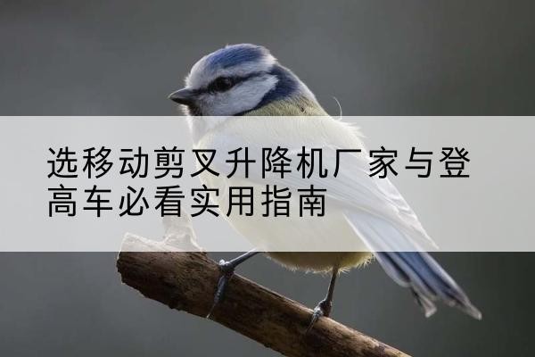 长洲电动升降机厂家-选移动剪叉升降机厂家与登高车必看实用指南