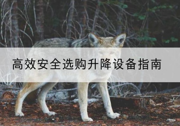 长洲升降货梯厂家推荐-*安全选购升降设备指南