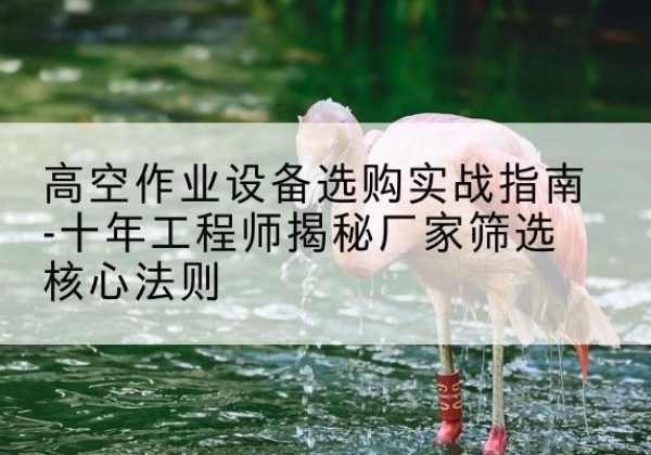 长洲剪叉式升降机厂家-高空作业设备选购实战指南-十年工程师揭秘厂家筛选核心法则